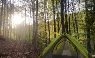 Samantha H.'s photo at Worlds End State Park Campground near Towanda, PA