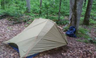 Joshua C.'s photo of tent camping at 92 Upper Flats in North Carolina