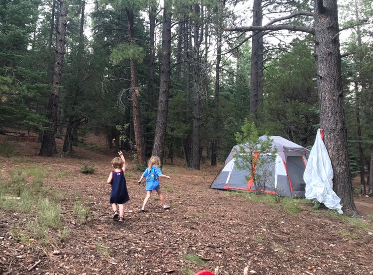 Camper submitted image from Red Canyon Campground - 4