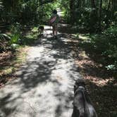 Review photo of Blue Spring State Park Campground by Angela M., June 2, 2021