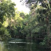 Review photo of Blue Spring State Park Campground by Angela M., June 2, 2021