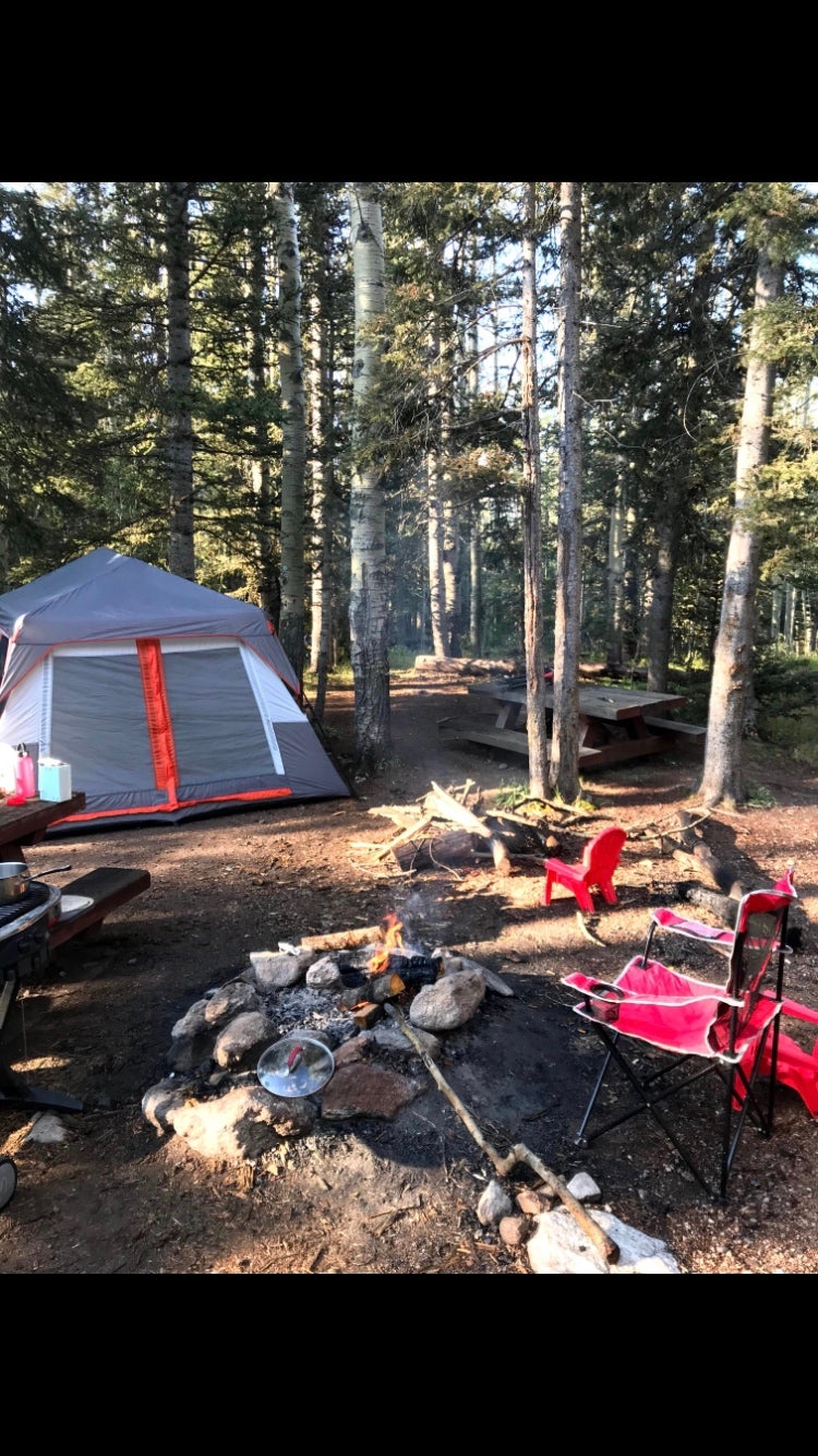 Camper submitted image from Aspen Basin Campground - 1