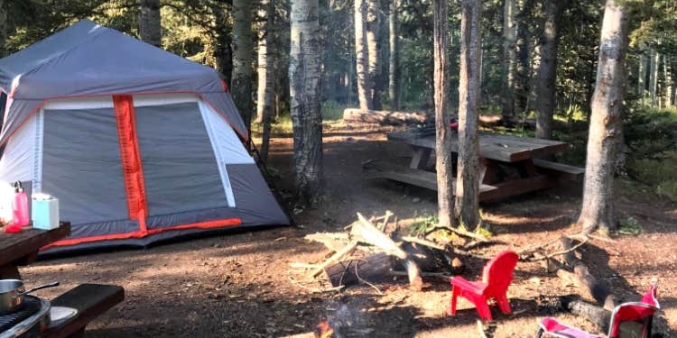 Camper submitted image from Aspen Basin Campground