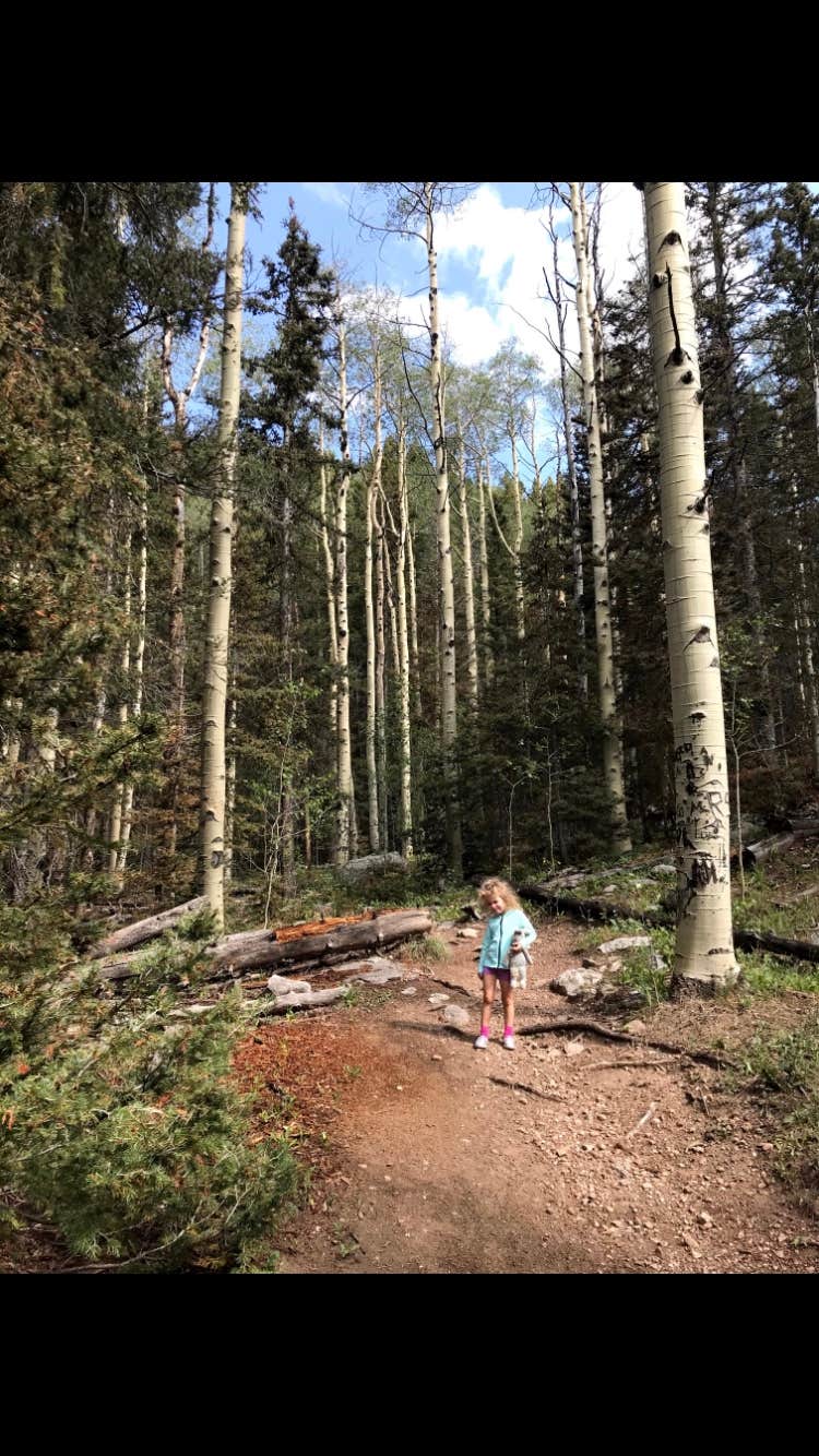Camper submitted image from Aspen Basin Campground - 3