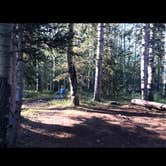 Review photo of Aspen Basin Campground by Gavin J., June 2, 2021