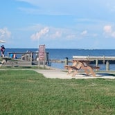 Review photo of T. H. Stone Memorial St. Joseph Peninsula State Park Campground by Angela M., June 2, 2021