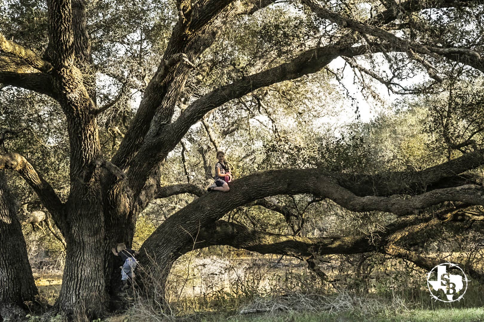 Camper-submitted photo at Southbound RV Park and Cabins near Edna, TX