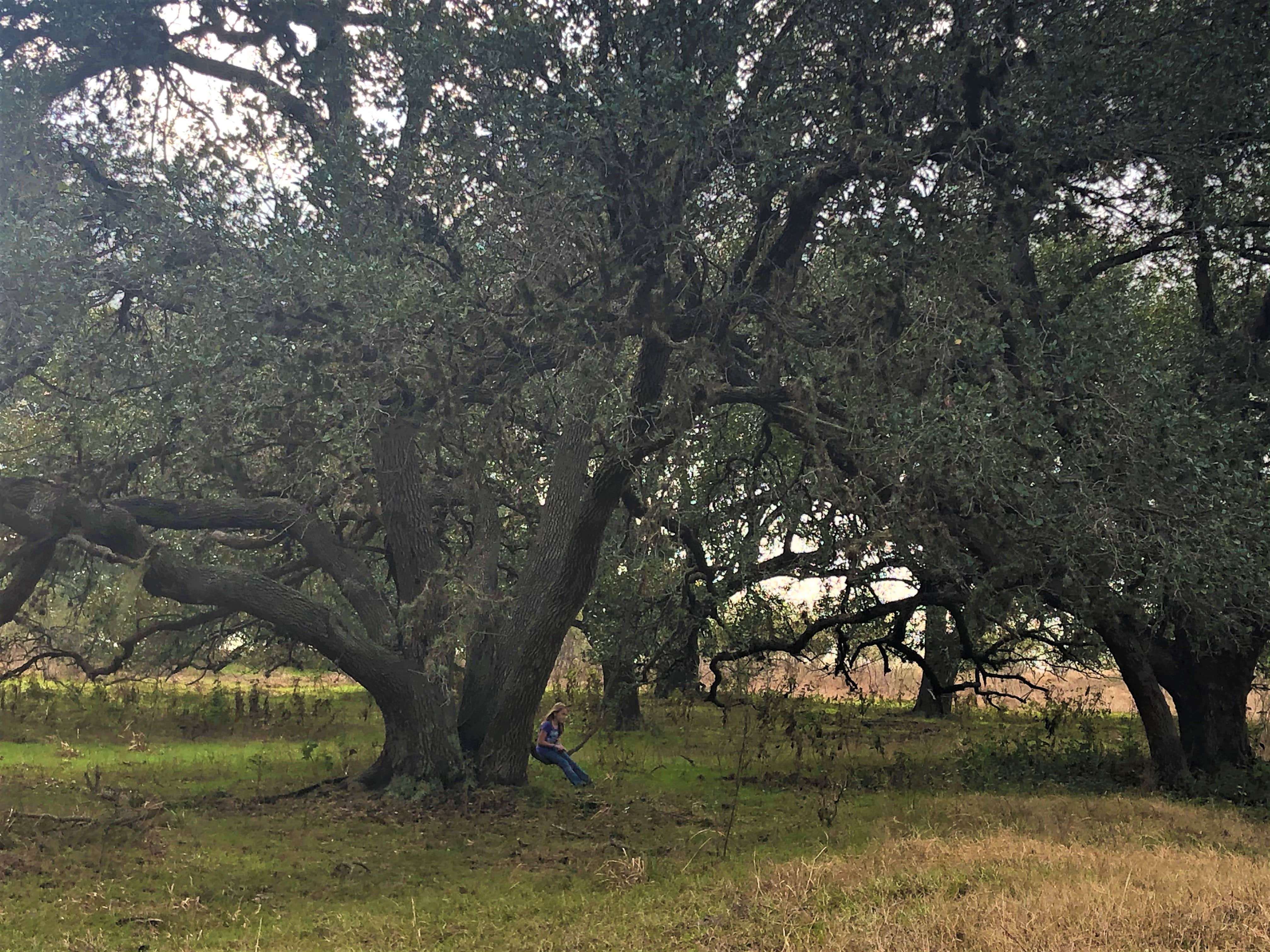 Camper-submitted photo at Southbound RV Park and Cabins near Victoria, TX