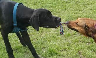 Carla R.'s photo of camping with pets at Southbound RV Park and Cabins near Cuero, TX