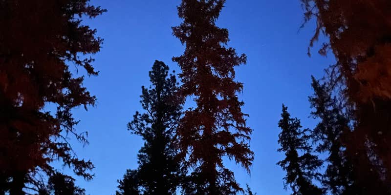 Camper submitted image from FS Road 631/633