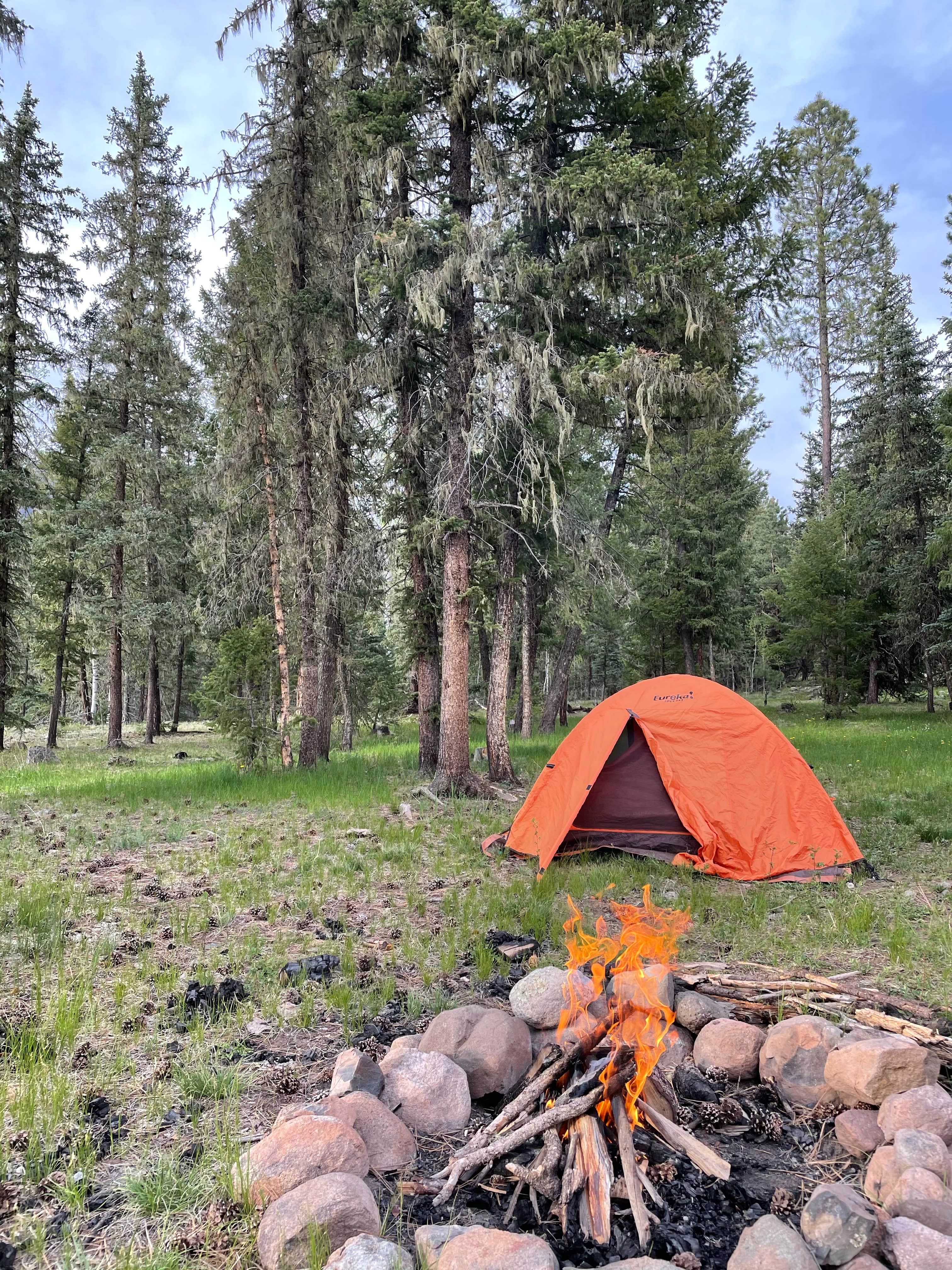 Camper-submitted photo at FS Road 631/633 near Pagosa Springs, CO