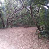 Review photo of Atlantic Beach Campground — Fort Clinch State Park by Rachel G., June 2, 2021