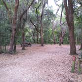 Review photo of Atlantic Beach Campground — Fort Clinch State Park by Rachel G., June 2, 2021