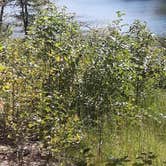 Review photo of Twin Knobs Recreation Area by Becky H., June 6, 2018