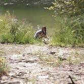 Review photo of Twin Knobs Recreation Area by Becky H., June 6, 2018