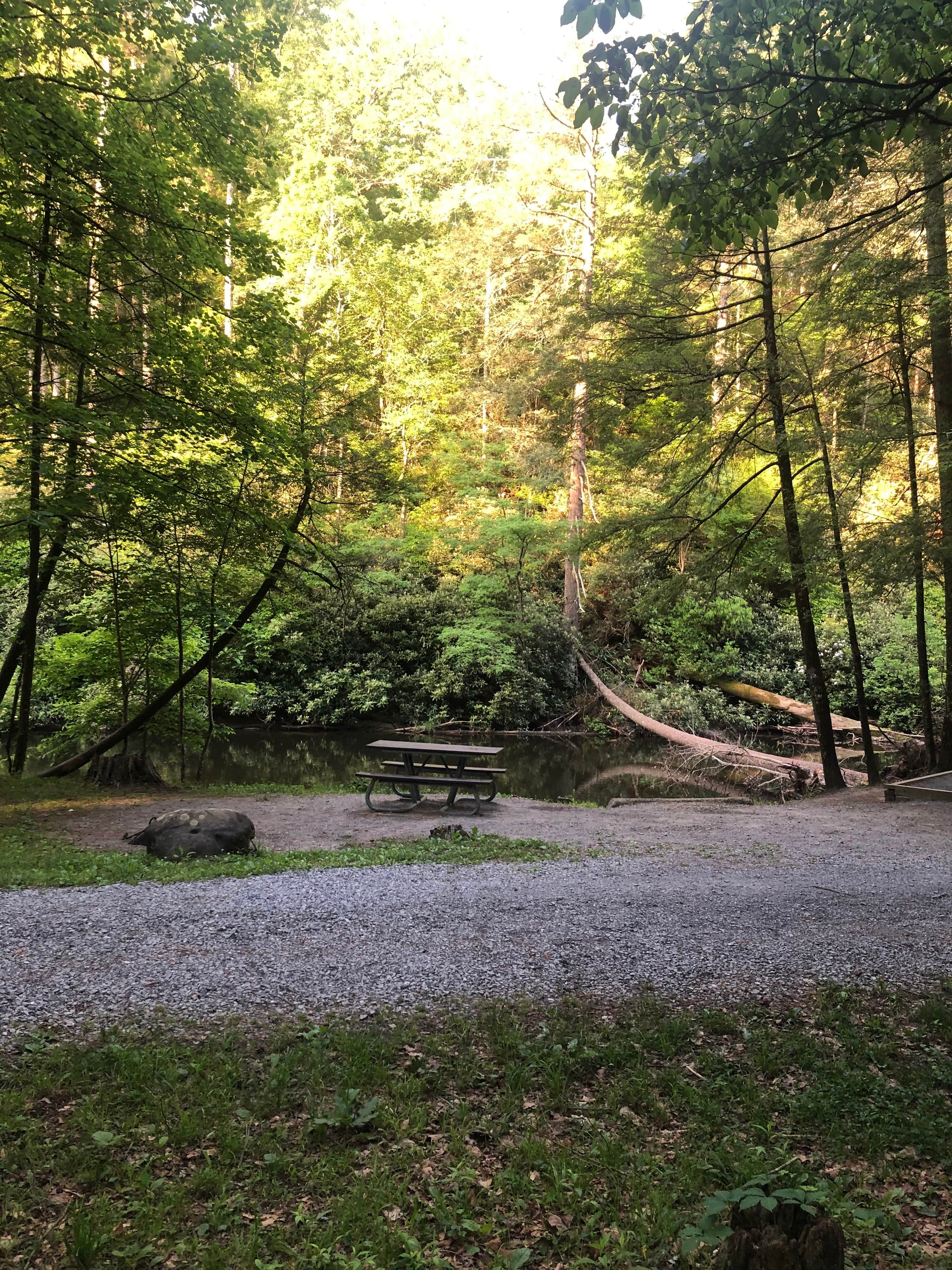 Camper-submitted photo at Abrams Creek Campground — Great Smoky Mountains National Park near Townsend, TN