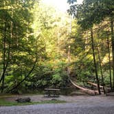 Review photo of Abrams Creek Campground — Great Smoky Mountains National Park by kelly , June 2, 2021