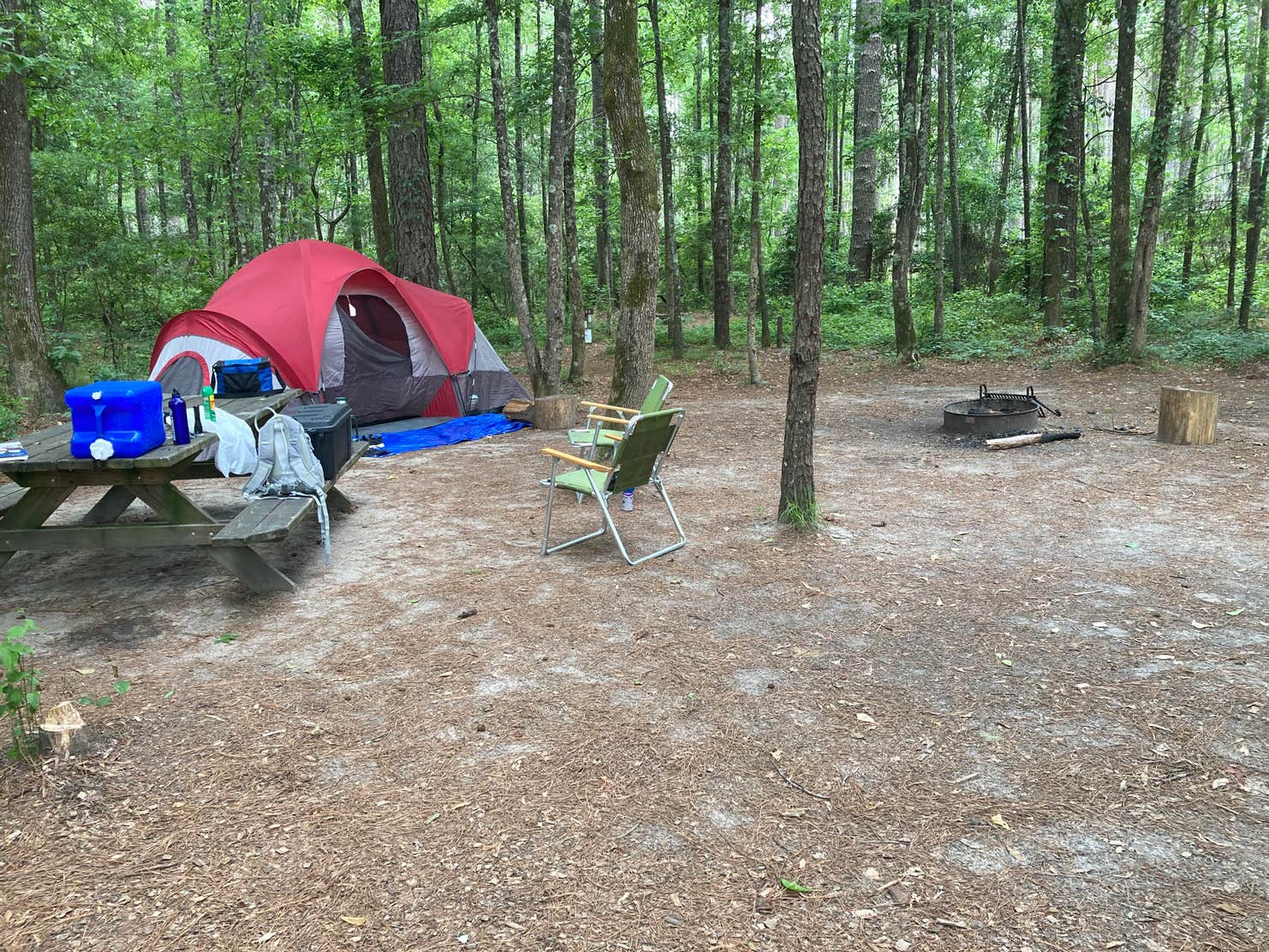 Congaree National Park Camping | The Dyrt