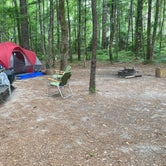 Review photo of Longleaf Campground — Congaree National Park by kelly , June 2, 2021