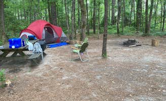 kelly's photo at Longleaf Campground — Congaree National Park near Elgin, SC