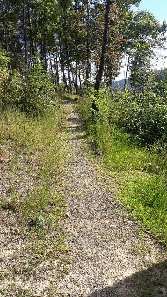 Camper submitted image from Twin Knobs Recreation Area - 3