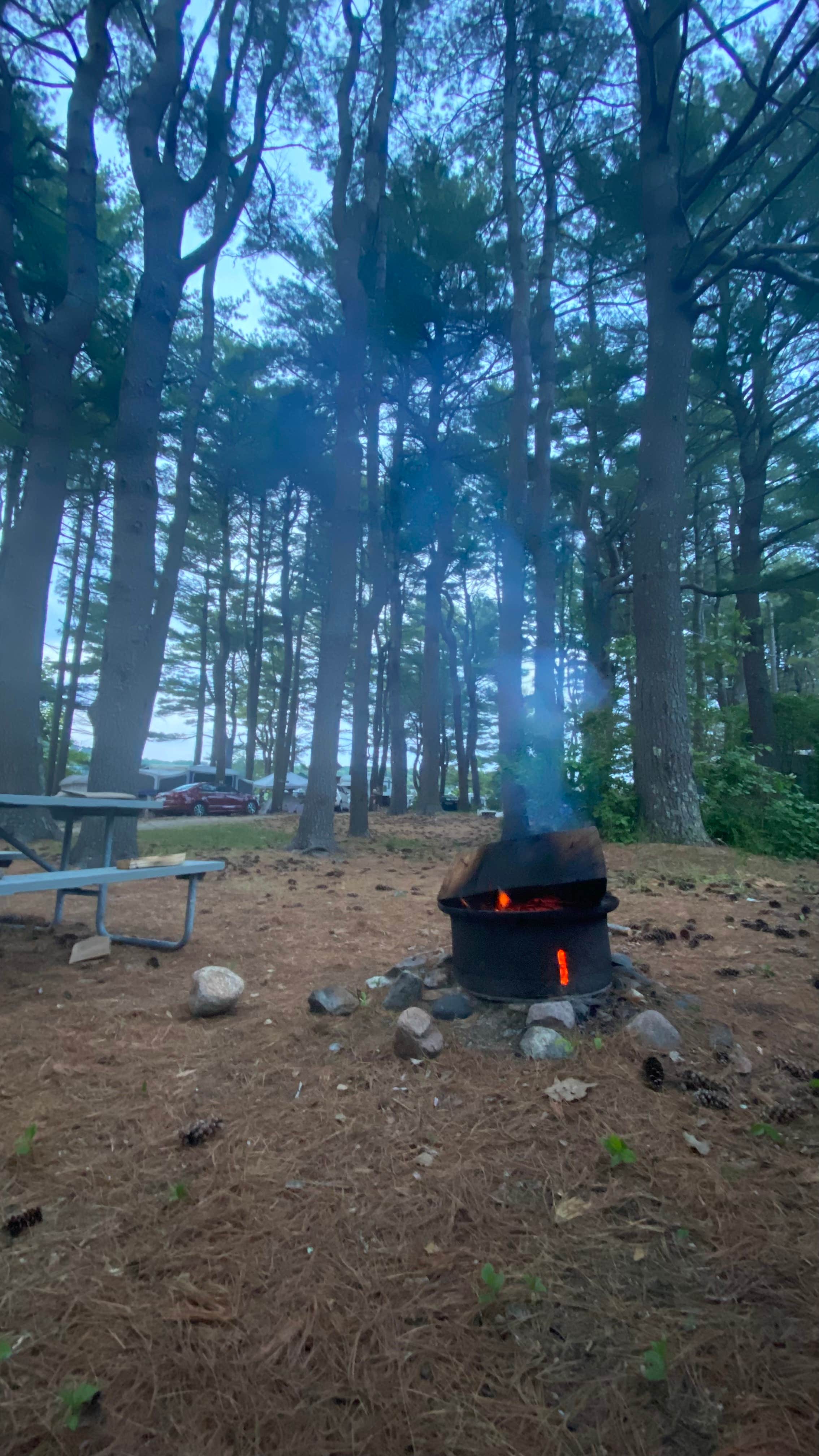 Camper submitted image from Cape Neddick Oceanside Campground - 5