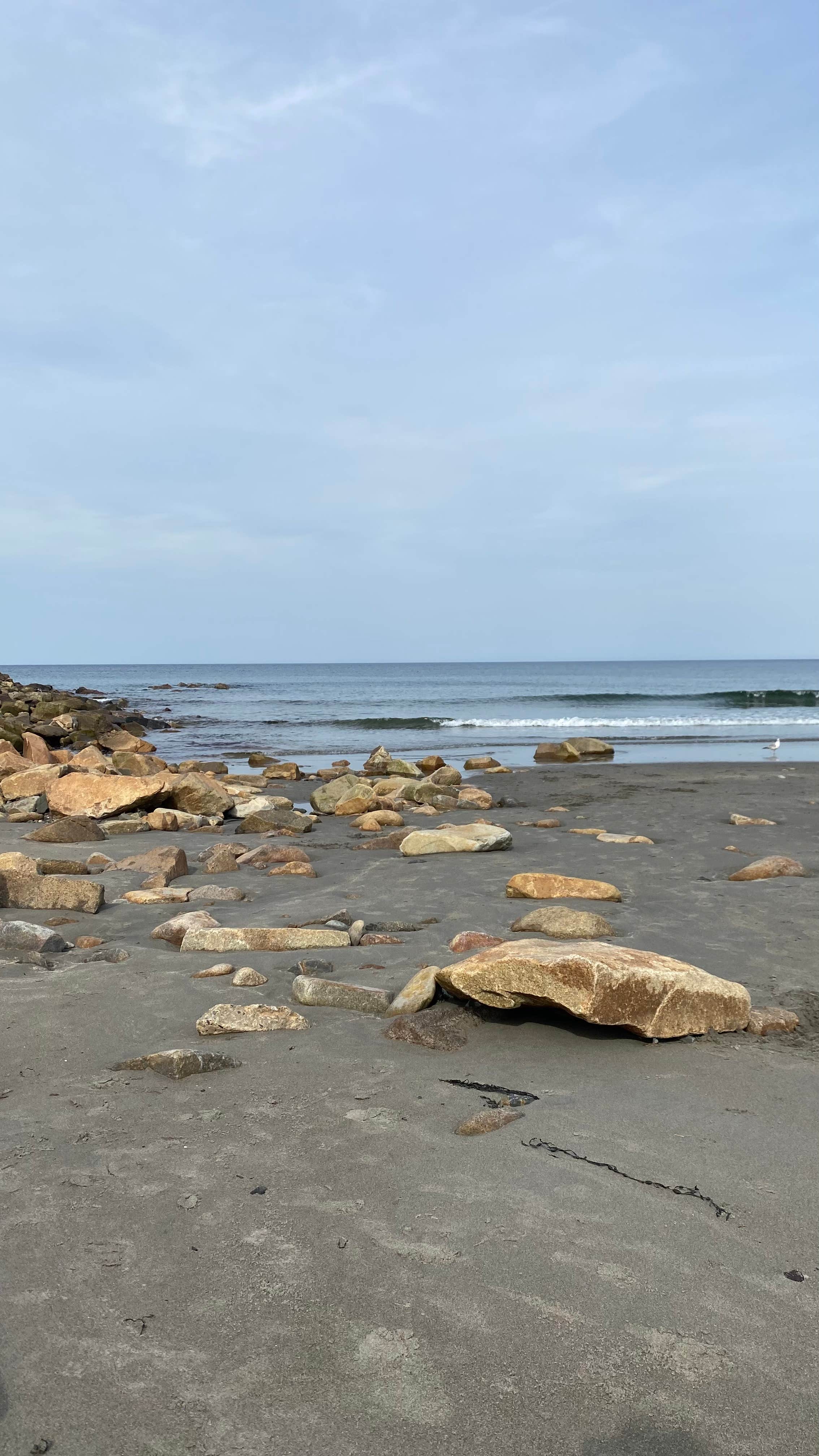 Cape Neddick Oceanside Campground The Dyrt