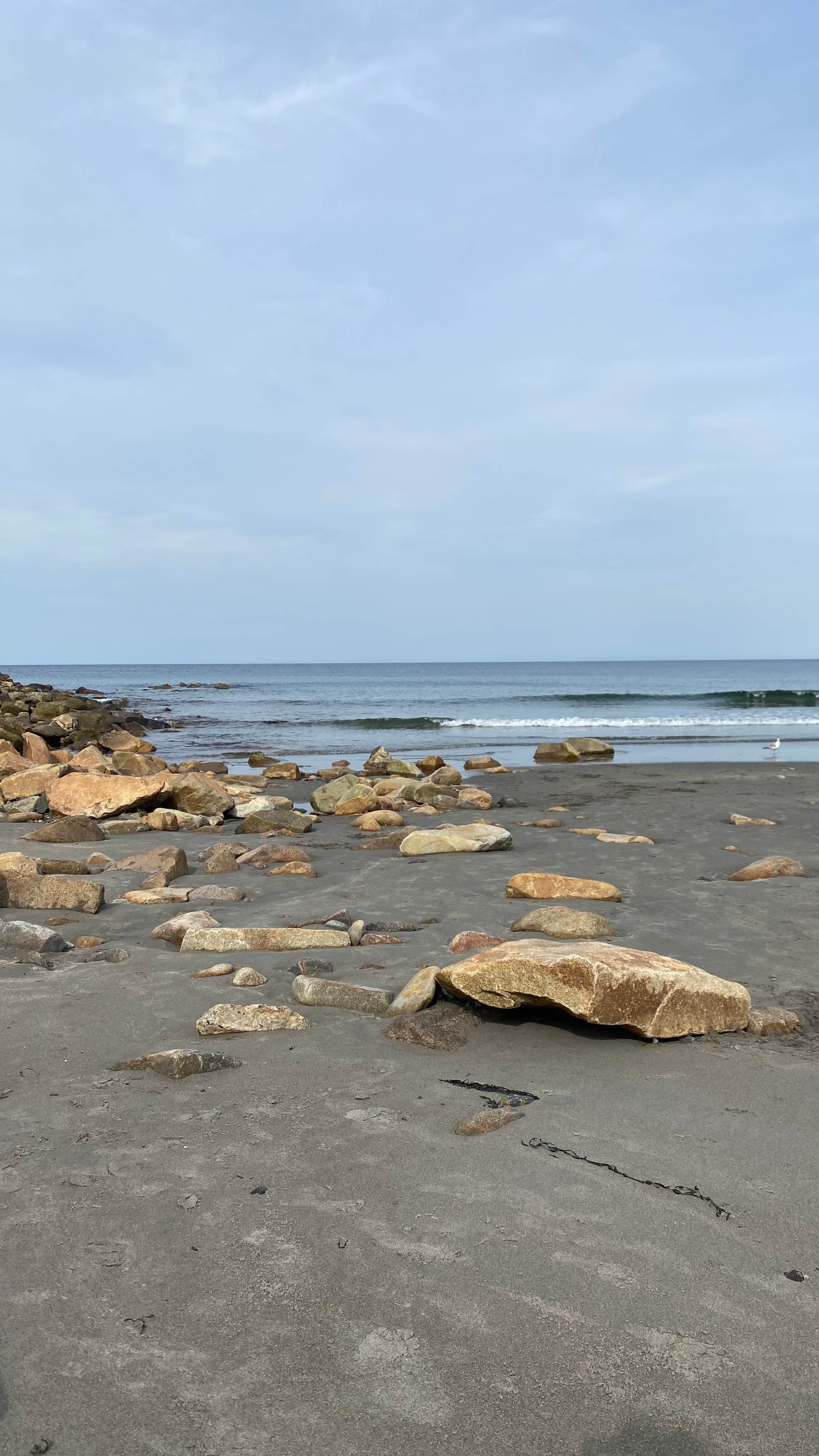 Cape Neddick Oceanside Campground Camping The Dyrt