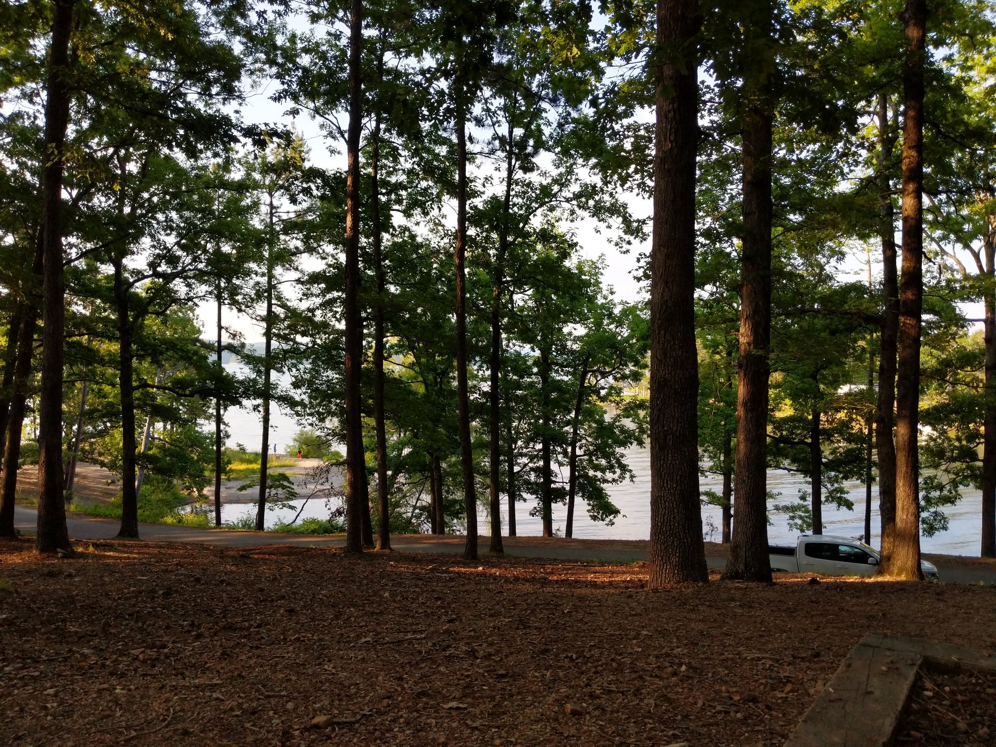 Camper submitted image from Brady Mountain - Lake Ouachita - 2