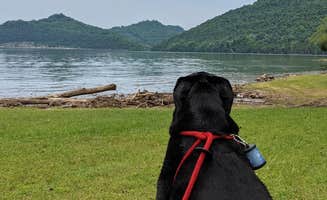Campfiresandcoffee94 .'s photo of camping with pets at Defeated Creek Campground near Westmoreland, TN