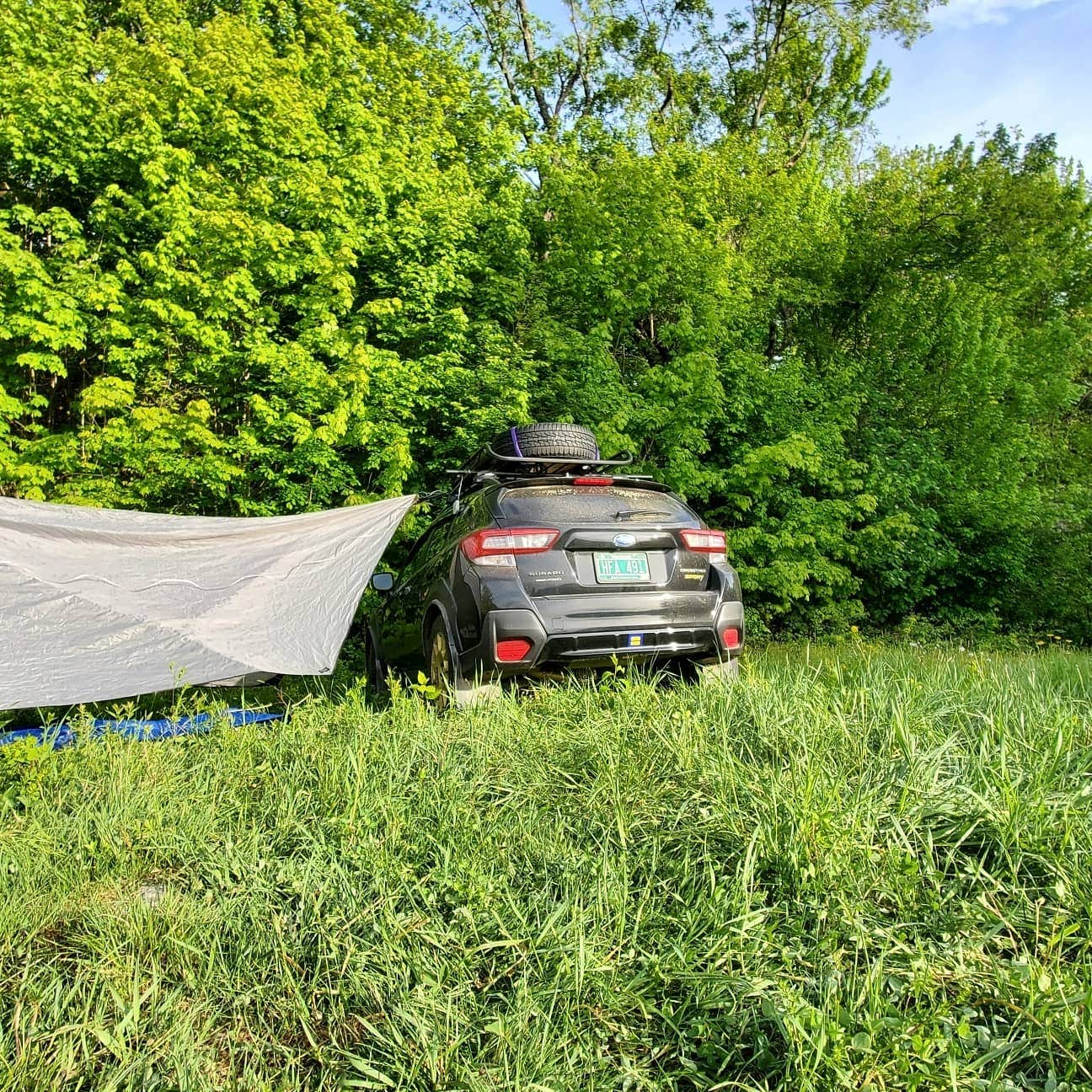 Miccal  M.'s photo of a dispersed camping area at Green Mountain National Forest FR207 near Lewis, NY