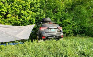 Miccal M.'s photo of a dispersed camping area at Green Mountain National Forest FR207 near Middlesex, VT