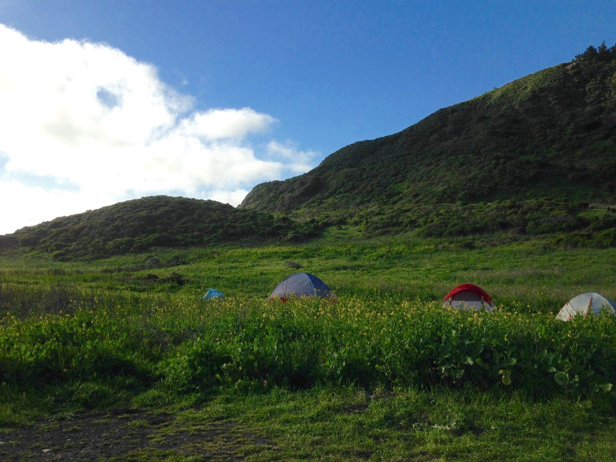 Madelyn G.'s photo at Wildcat Campground — Point Reyes National Seashore near Point Reyes National Seashore