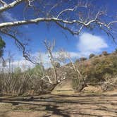 Review photo of Harshaw Road Dispersed Camping - San Rafael Canyon by Char P., June 3, 2021