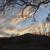 Review photo of Harshaw Road Dispersed Camping - San Rafael Canyon by Char P., June 3, 2021