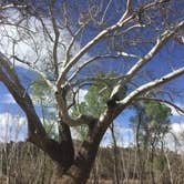 Review photo of Harshaw Road Dispersed Camping - San Rafael Canyon by Char P., June 3, 2021