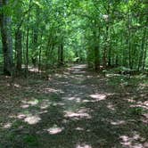 Review photo of Village Creek State Park Campground by Kassi S., June 3, 2021