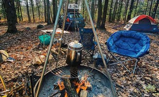 John N.'s photo of tent camping at Leverentz Lake State Forest Campground near Morley, MI
