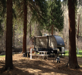 Camper-submitted photo from Junction Creek Campground