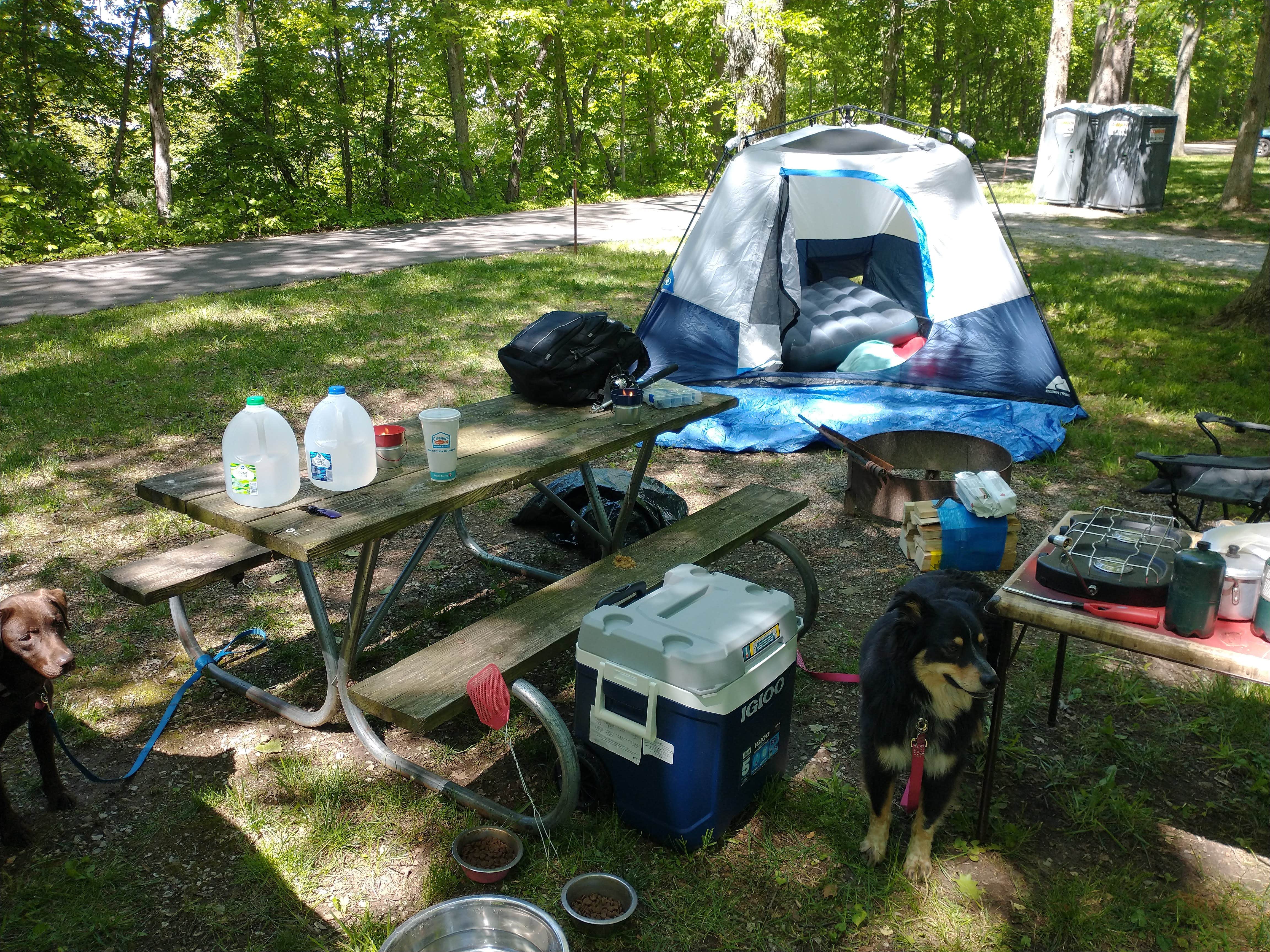 Andy K.'s photo of tent camping at Independence Dam State Park Campground near Grover Hill, OH