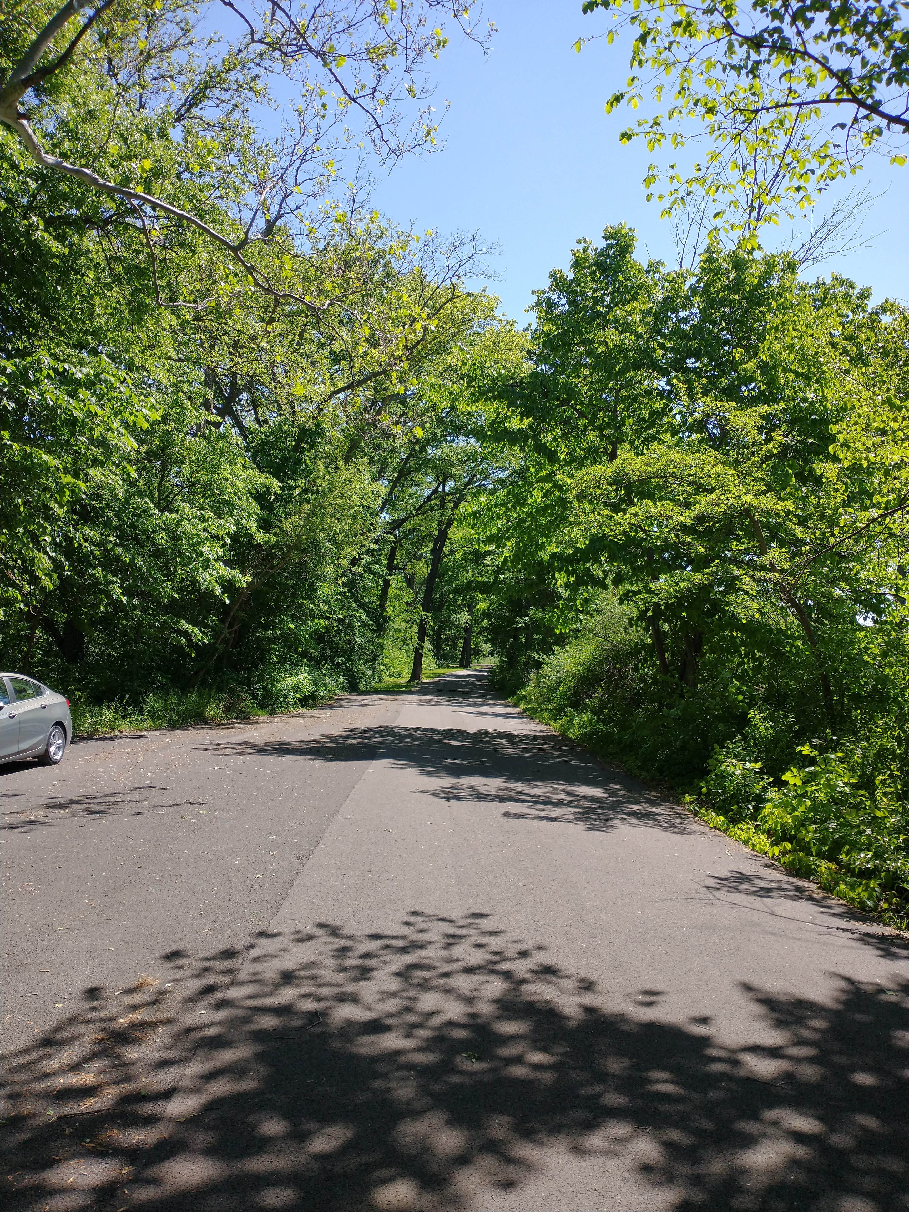 Camper submitted image from Independence Dam State Park Campground - 4