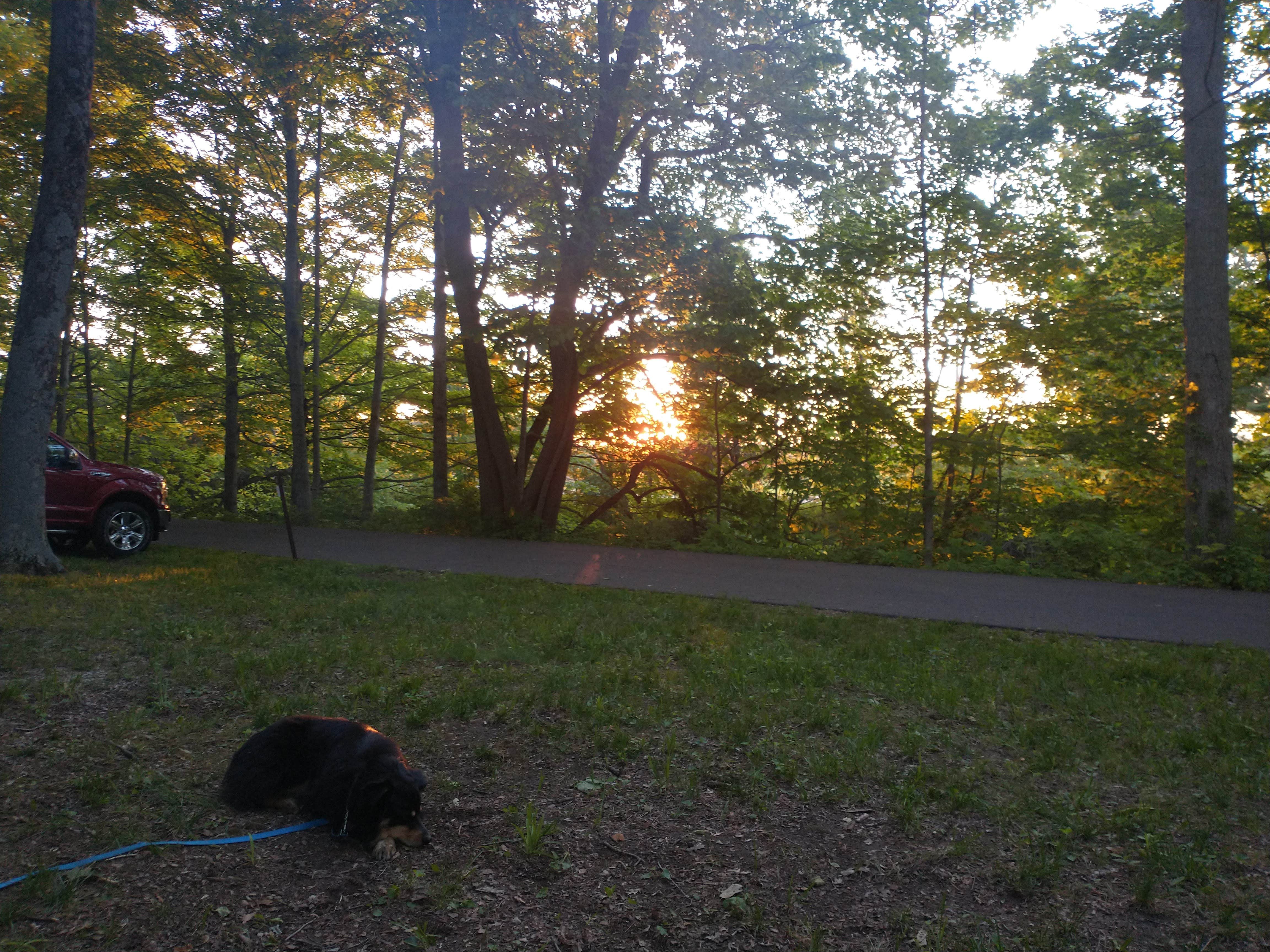 Andy K.'s photo of camping with pets at Independence Dam State Park Campground near Pioneer, OH