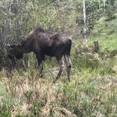 Review photo of Elk Creek Campground by Kris O., June 6, 2018