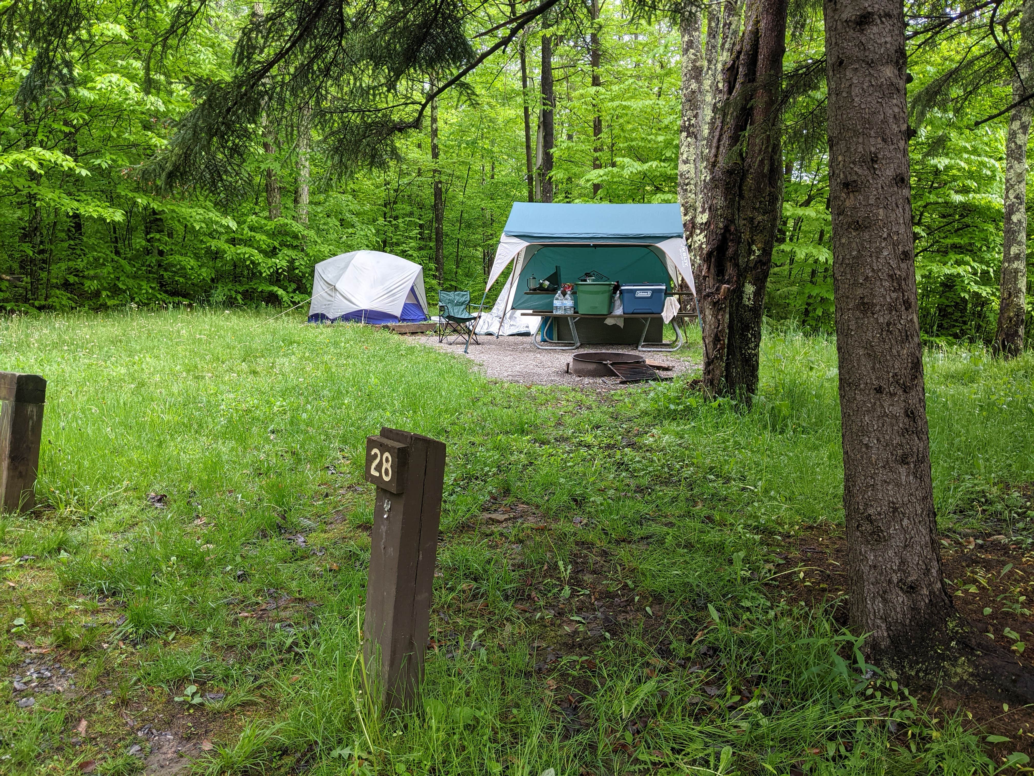 Marianne S.'s photo at Monongahela National Forest Spruce Knob Lake Campground near Glady, WV
