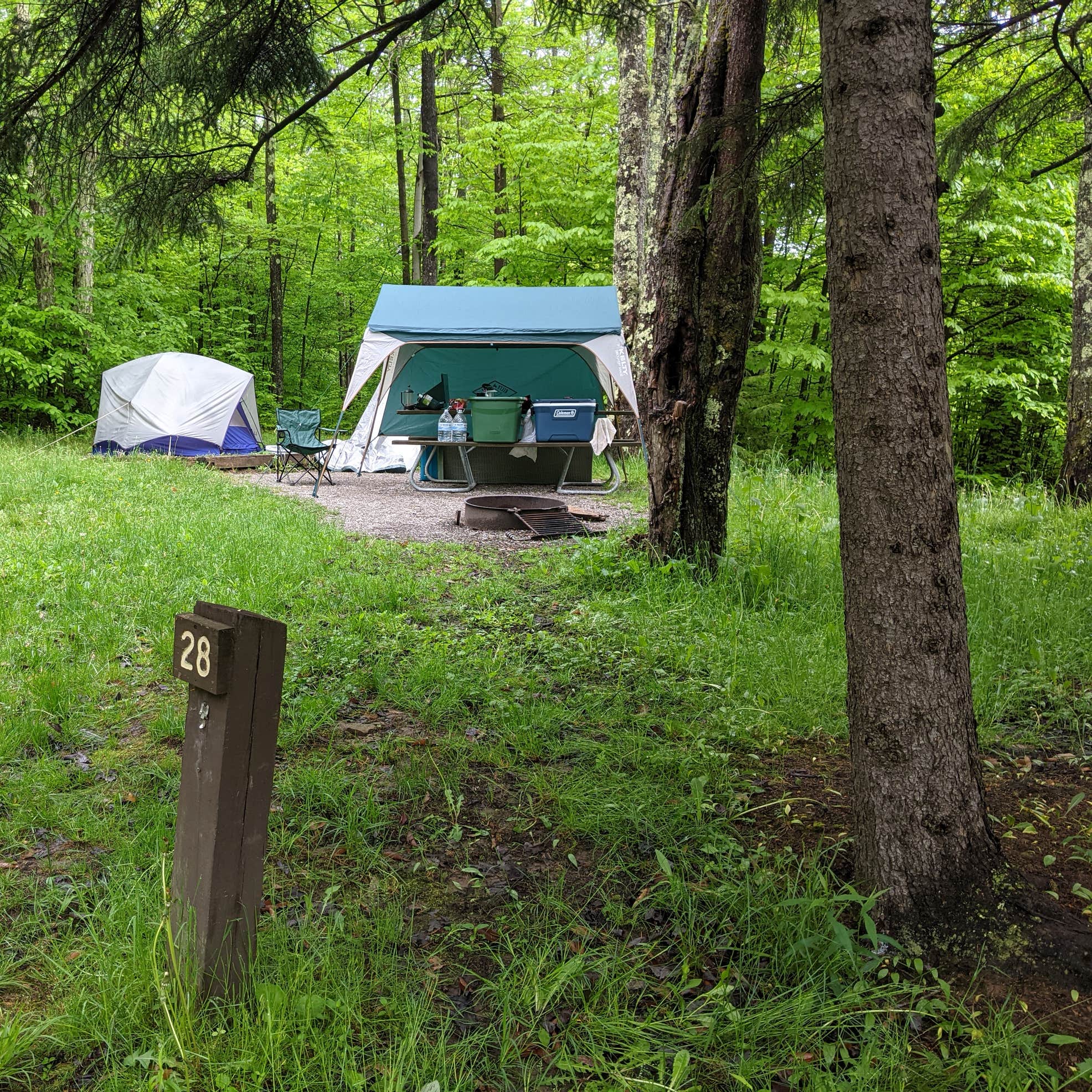 Monongahela National Forest Spruce Knob Lake Campground Camping | The Dyrt