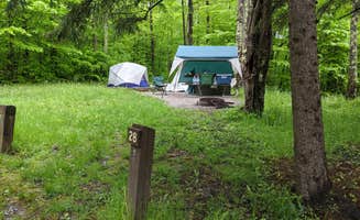 Marianne S.'s photo at Monongahela National Forest Spruce Knob Lake Campground near Seneca Rocks, WV