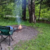 Review photo of Spruce Knob Lake Campground by Marianne S., June 3, 2021