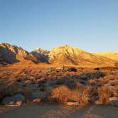 Review photo of Tuttle Creek Campground — Alabama Hills by Amelia F., June 3, 2021