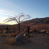 Review photo of Tuttle Creek Campground — Alabama Hills by Amelia F., June 3, 2021