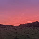 Review photo of Heritage Farms by Brady R., June 3, 2021
